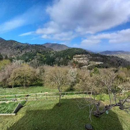 Affittacamere Le Ciboline *